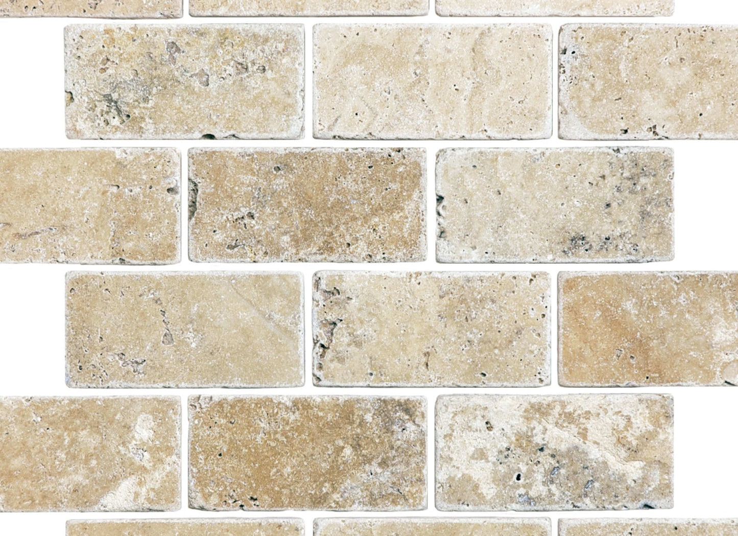 Travertine in Picasso Tumbled 2x4-Brick