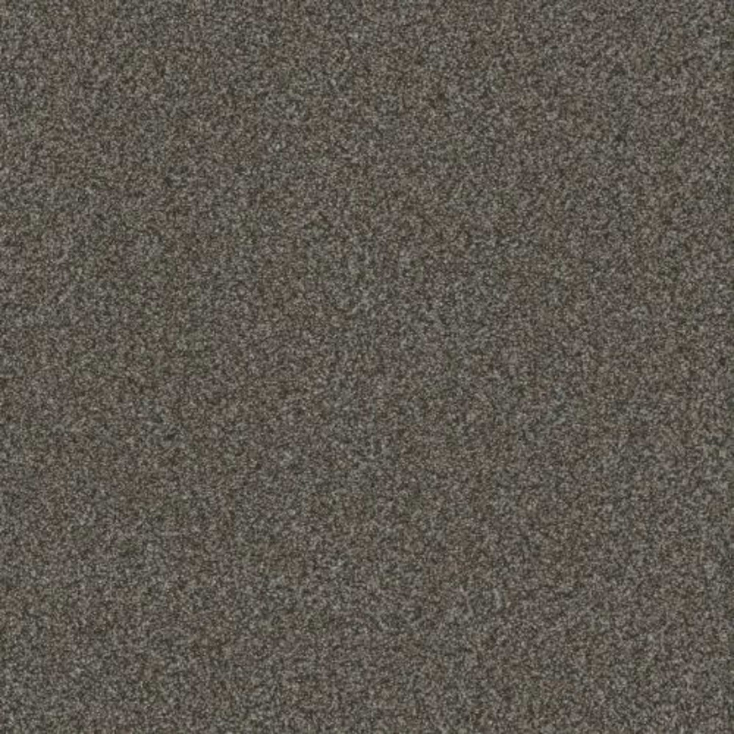 TITAN III in Pinehurst Carpet