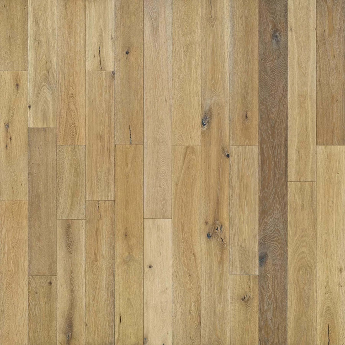 Novella in Hemingway Oak Hardwood