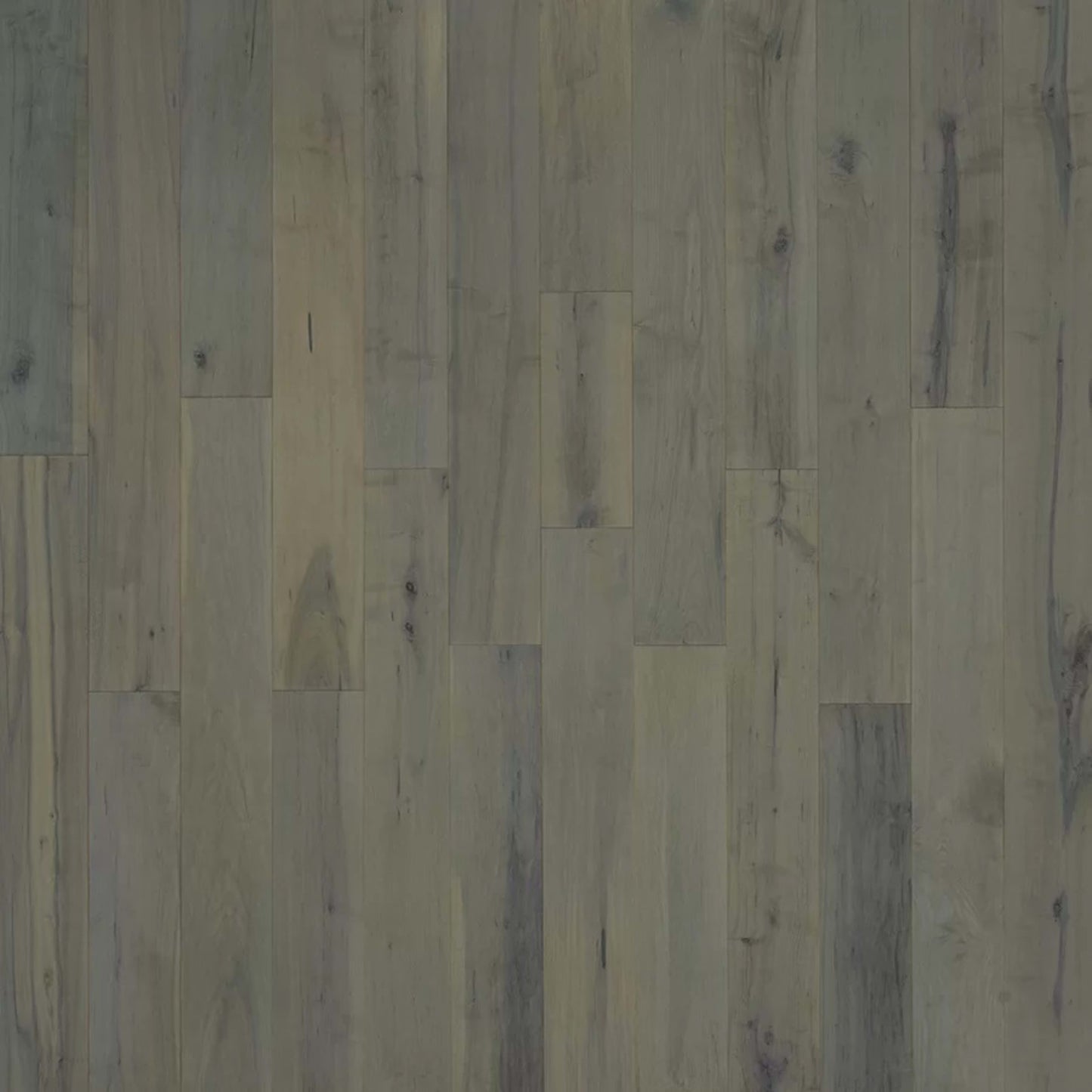 Novella in Williams Maple Hardwood