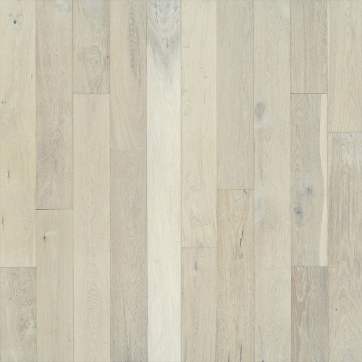 Ventura Hardwood in Pearl Oak Hardwood