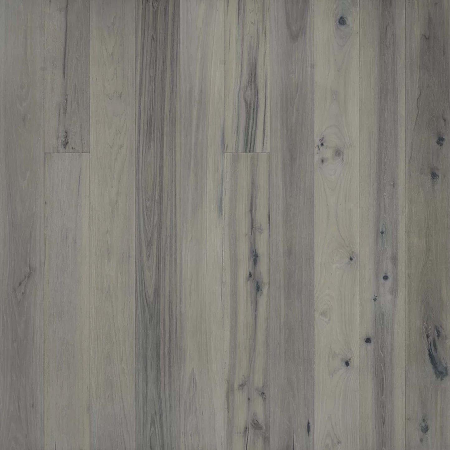 True Collection in Jasmine Hickory Hardwood