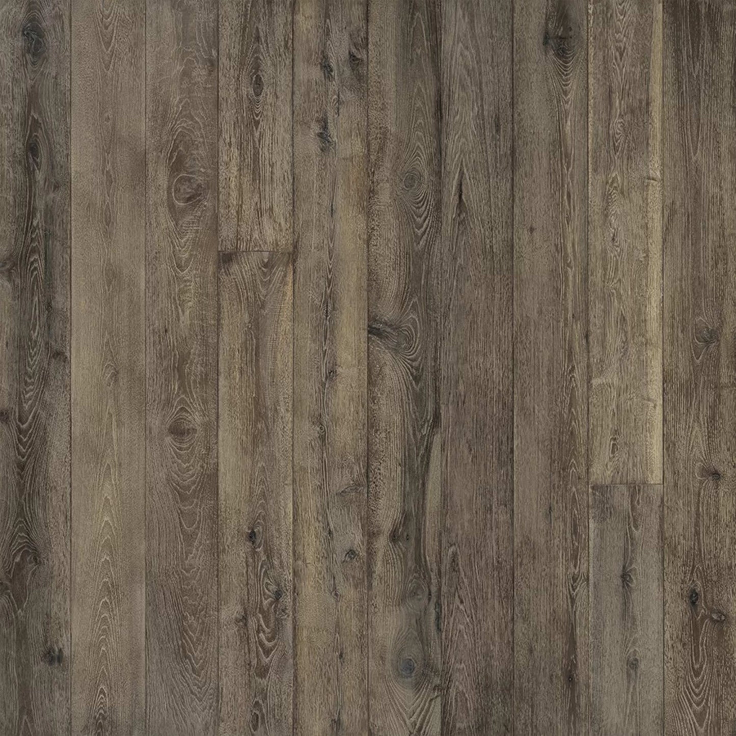 True Collection in Magnolia Hickory Hardwood