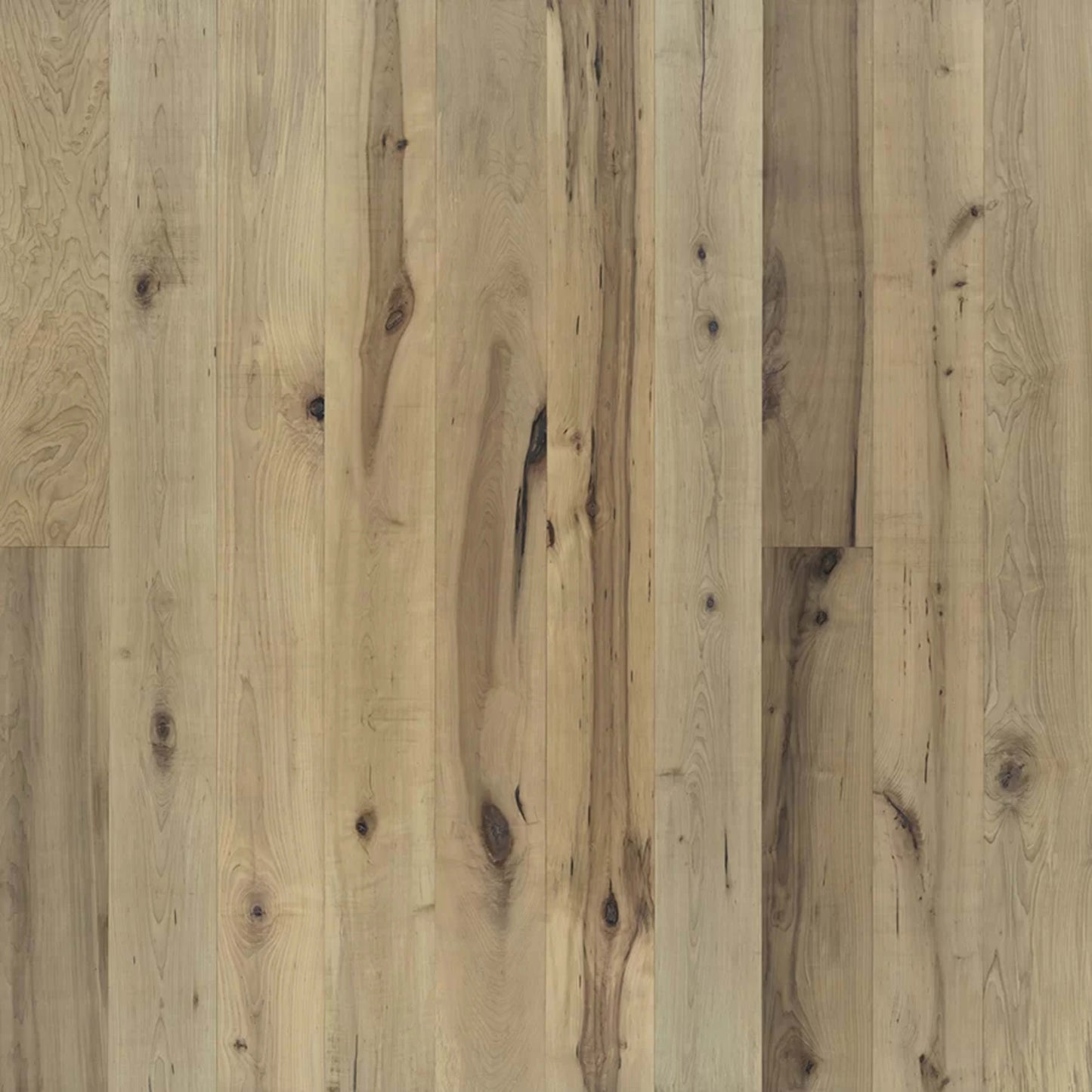 True Collection in Orris Maple Hardwood