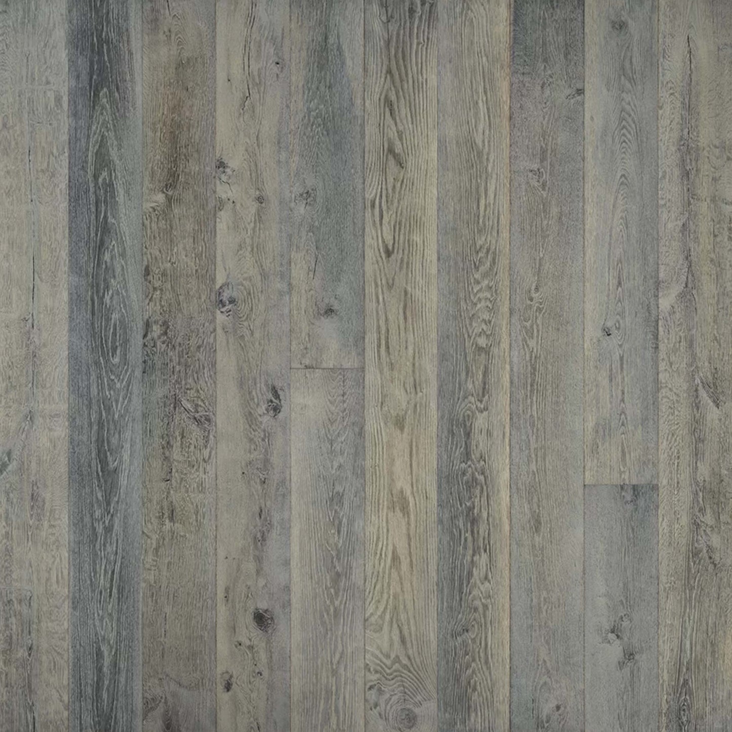 True Collection in Silver Needle Oak Hardwood