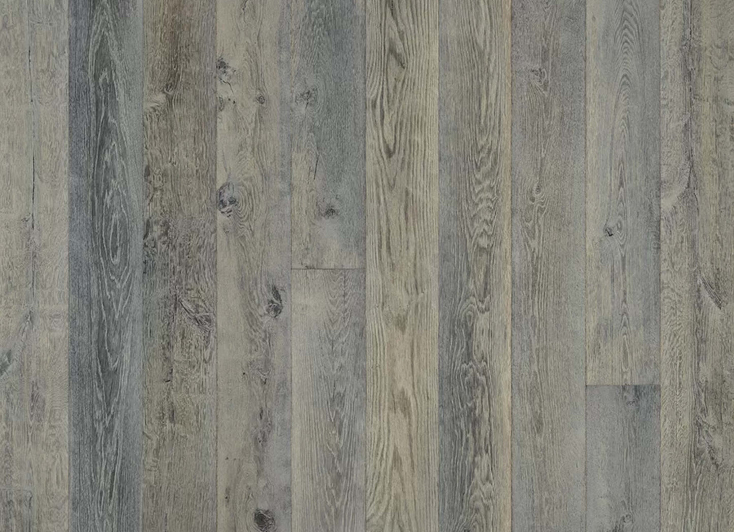 True Collection in Silver Needle Oak