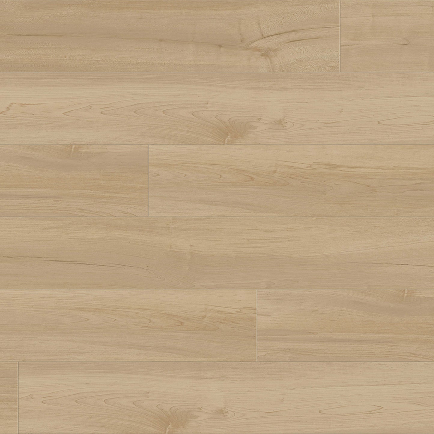 Provident - Public in Park Ridge Luxury Vinyl