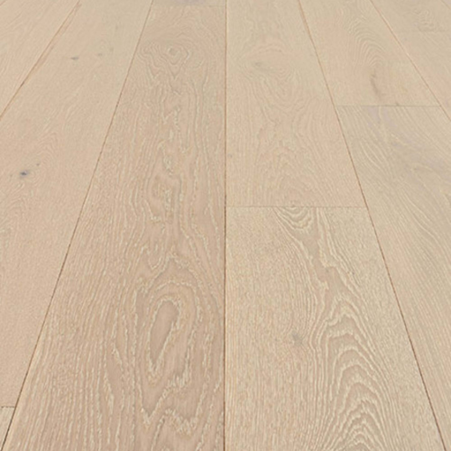 Volterra in Novara Hardwood