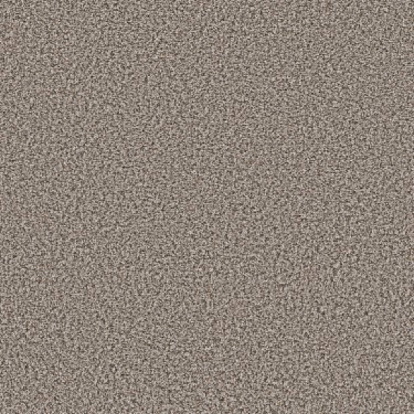 QS850 in Dolphin Carpet