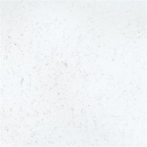 Q Premium Natural Quartz in Fairy White