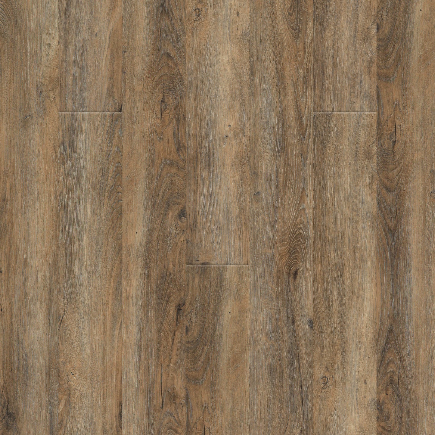 PureGrain Endure - New Standard II in Bay Of Plenty Luxury Vinyl