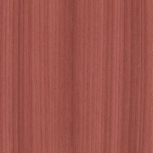 COLOR SCOPE 30 in Coral