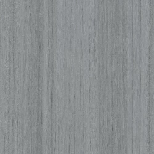 COLOR SCOPE 5 in Silver