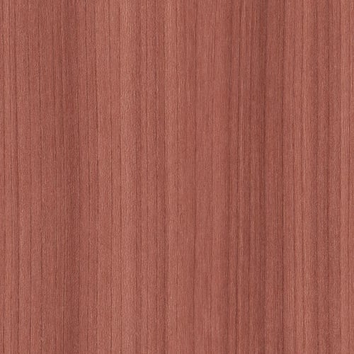 COLOR SCOPE 5 in Coral