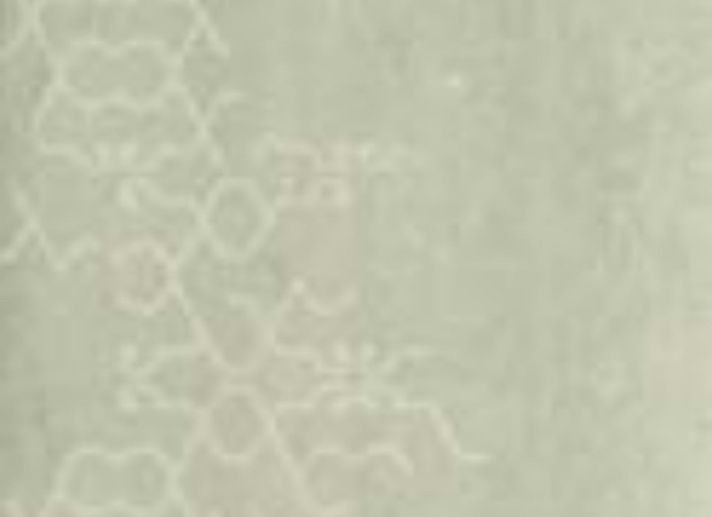 Concept in R2aq Dec.Beige-30x60