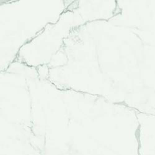 Imperiale in Statuarietto Glossy Rt-58x116