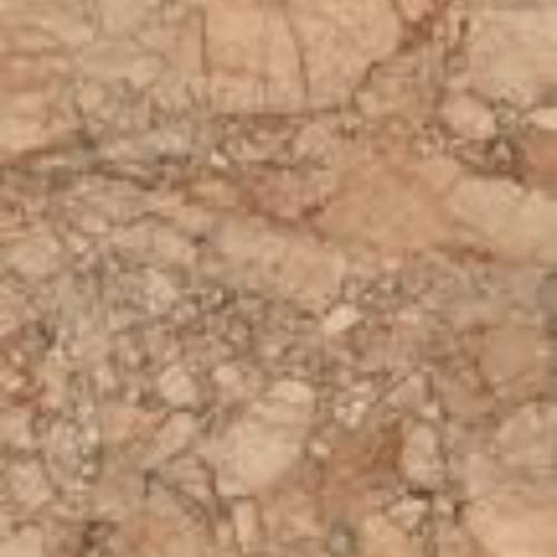 Incanto - 120X278 in Breccia Pernice Glossy Rettificato-120x278