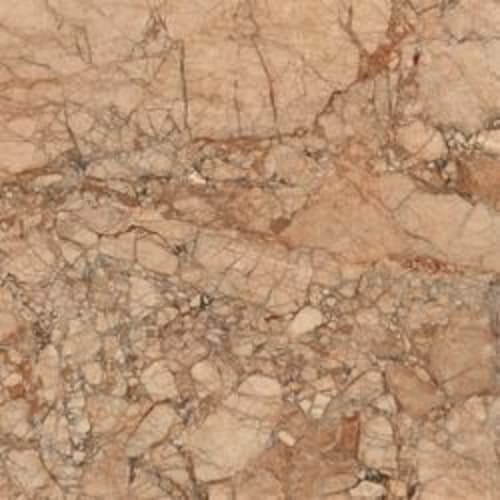 Incanto - 120X120 in Breccia Pernice Glossy Rettificato-120x120