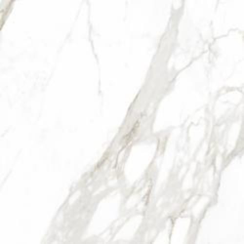 Incanto - 120X120 in Calacatta Nobile Glossy Rettificato-120x120