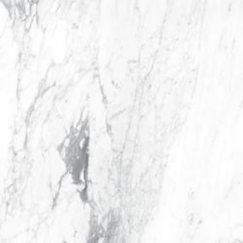 Incanto - 120X120 in Paonazzetto Glossy Rettificato-120x120