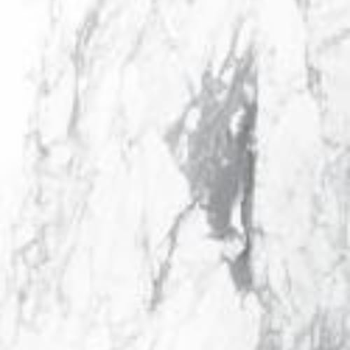 Incanto - 60X120 in Paonazzetto Glossy Rettificato-60x120