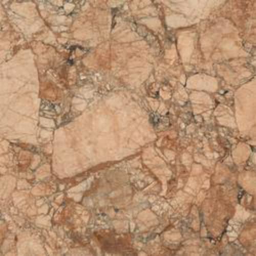 Incanto - 75X75 in Breccia Pernice Glossy Rt-75x75