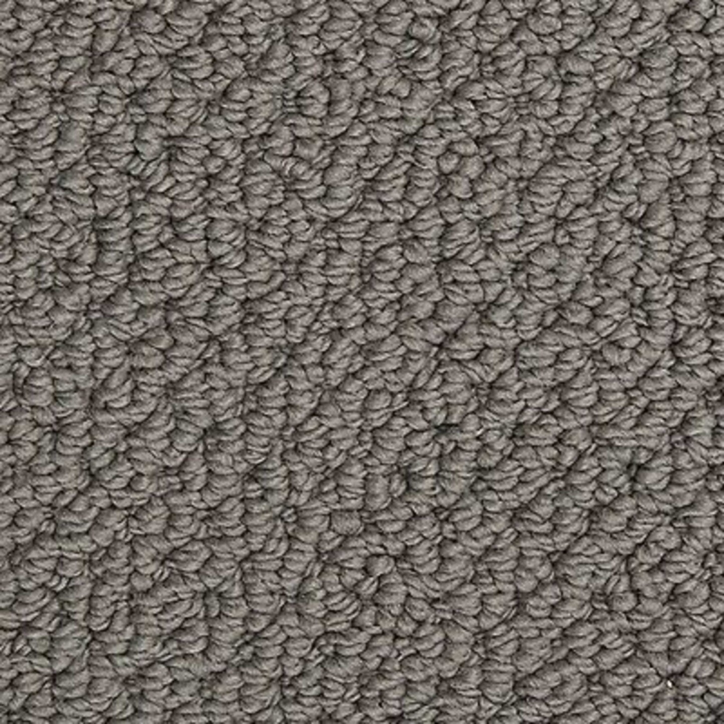 Radiant Fit in Raven Carpet