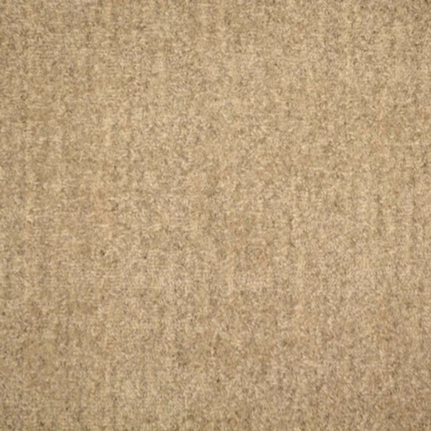 Rave in Beach Carpet