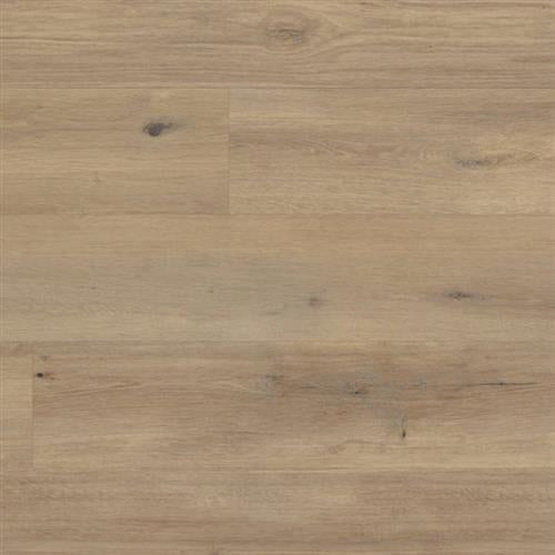 Korlok Select in Canadian Urban Oak