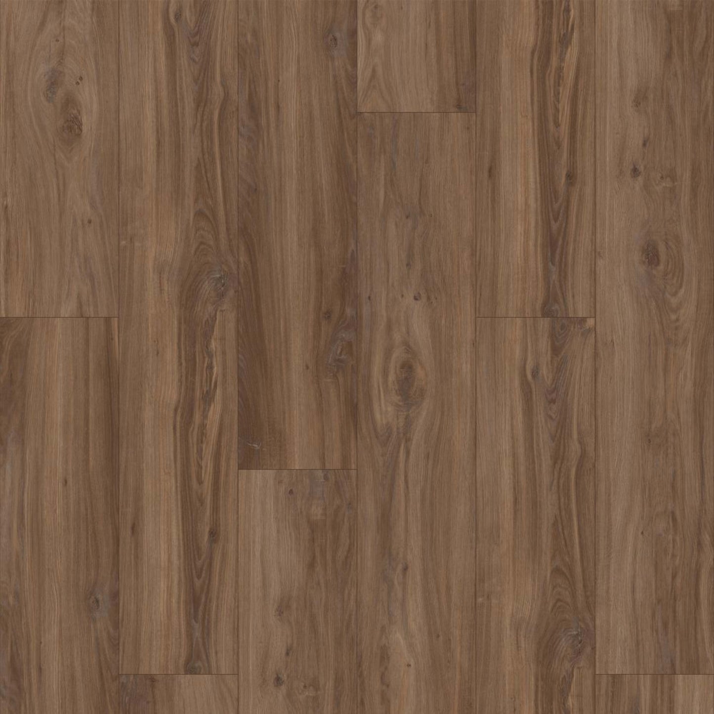 Leighton II in Loggerhead Oak Luxury Vinyl