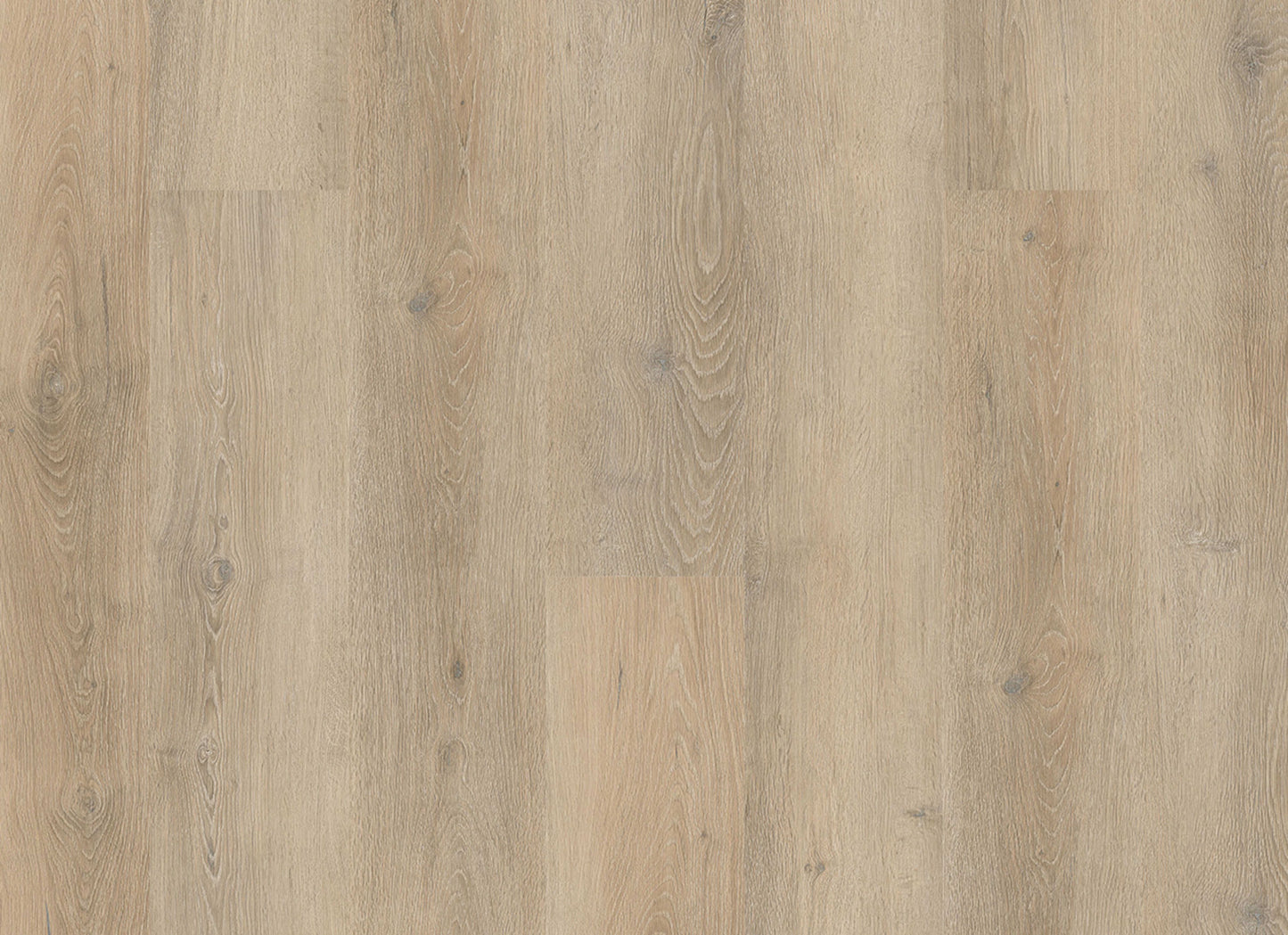 PureGrain Endure - Lifestyle in Clearwater