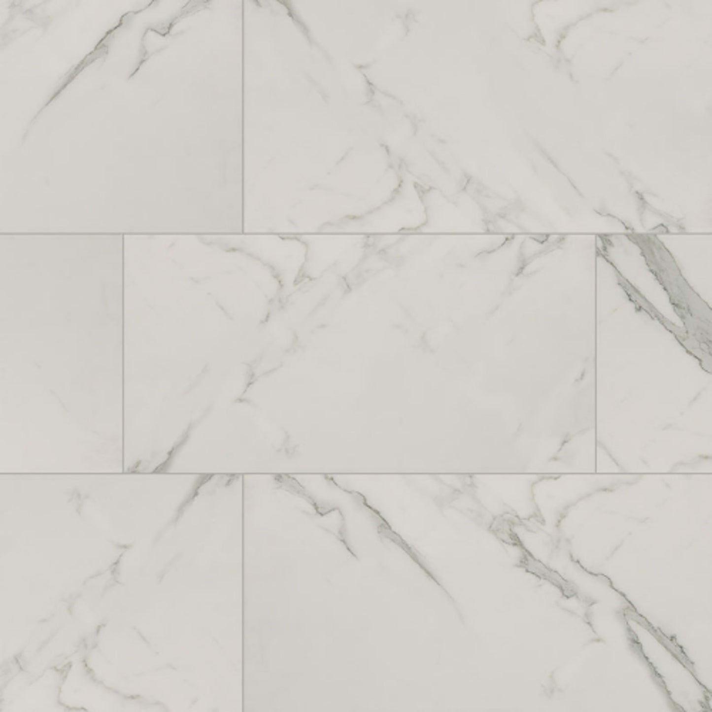 Regallo in Calacatta Isla - 12x24 Matte Tile
