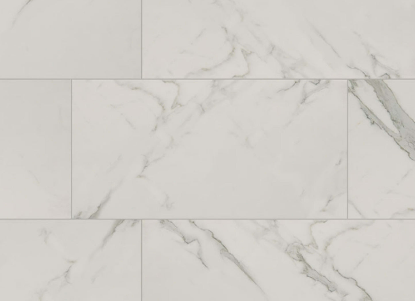 Regallo in Calacatta Isla - 12x24 Matte