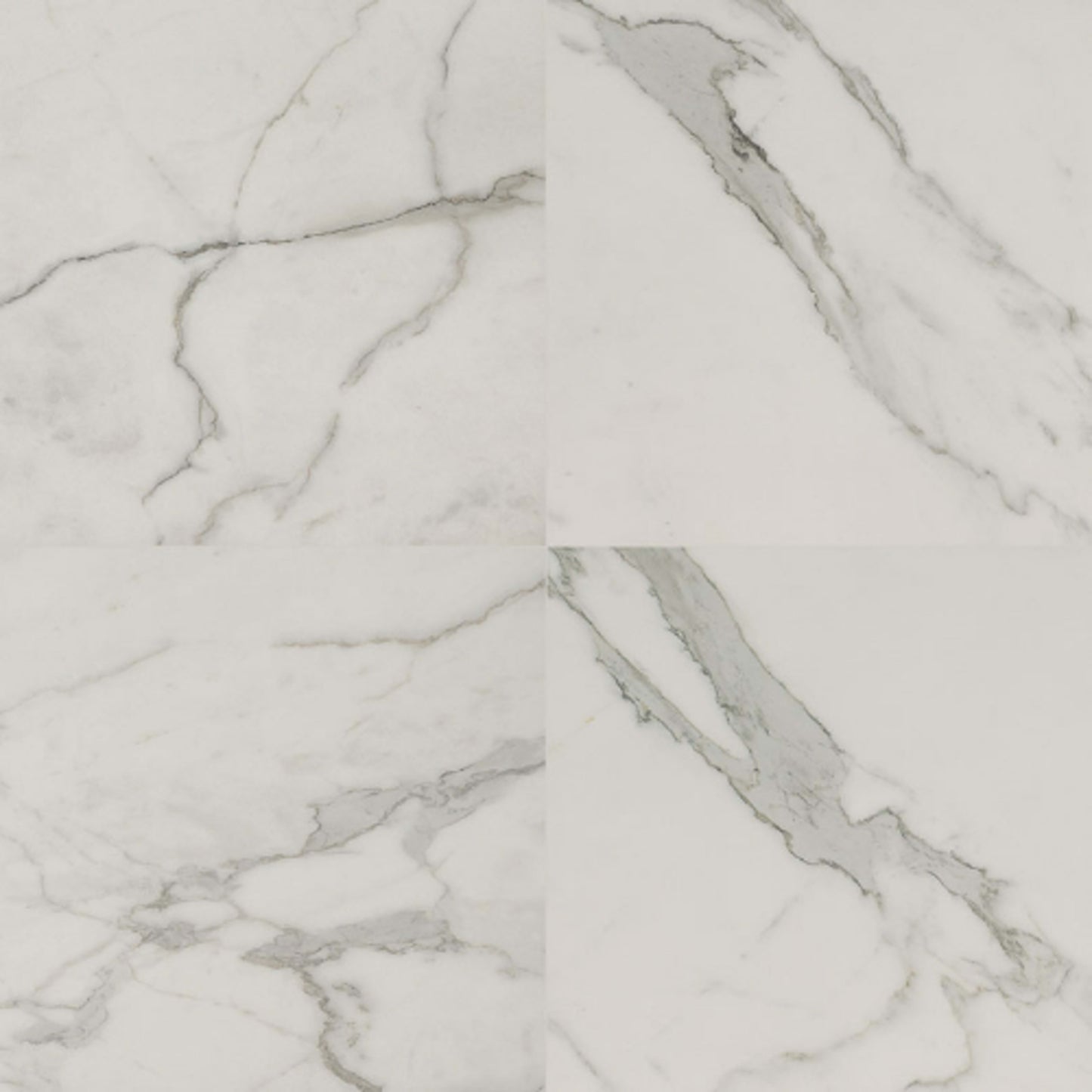 Regallo in Calacatta Isla - 24x24 Matte Tile