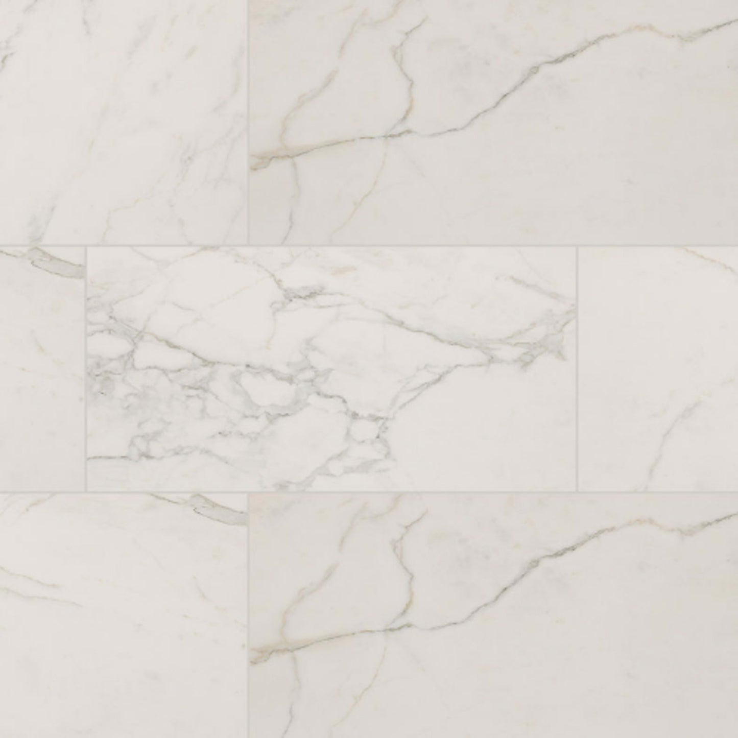 Regallo in Calacatta Isla - 24x48 Matte Tile