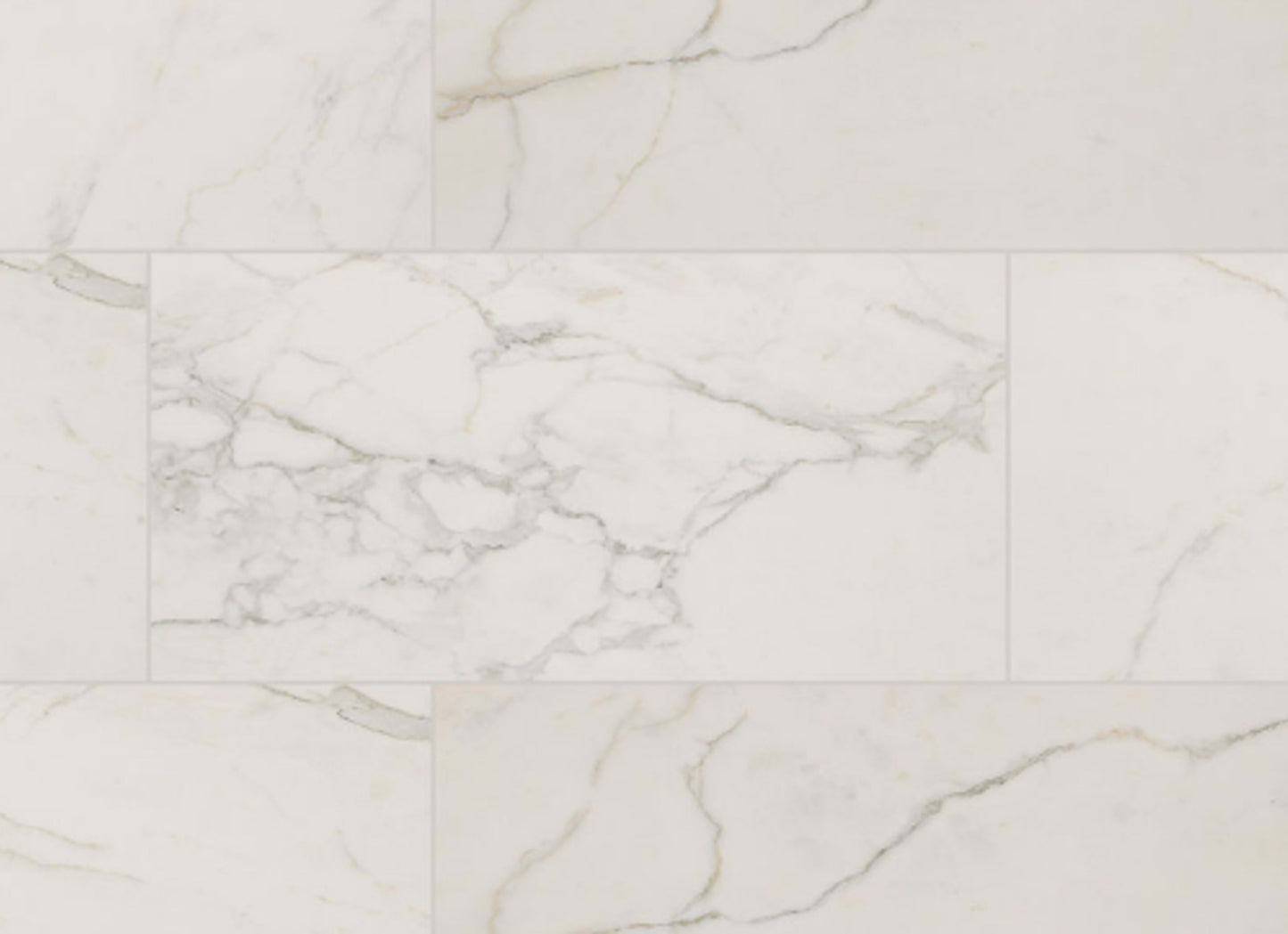 Regallo in Calacatta Isla - 24x48 Matte