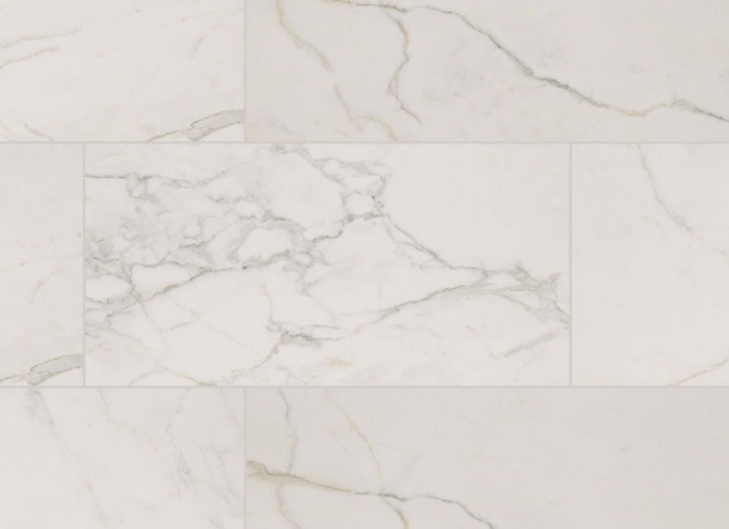 Regallo in Calacatta Isla - 24x48 Polished