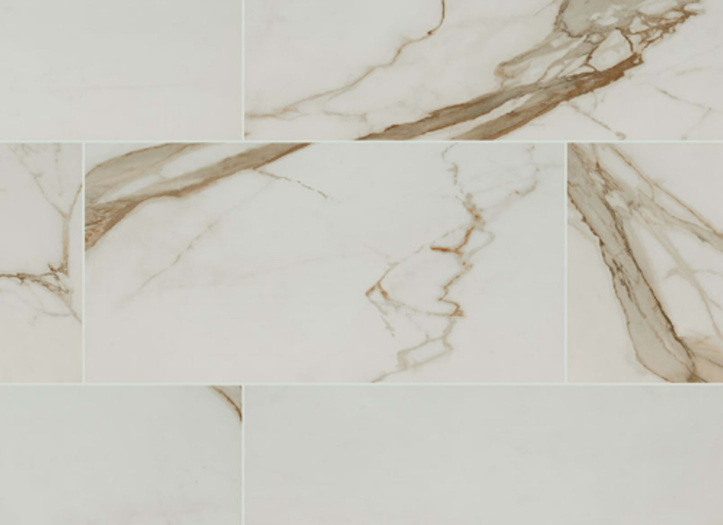 Regallo in Calacatta Marbella - 12x24 Matte