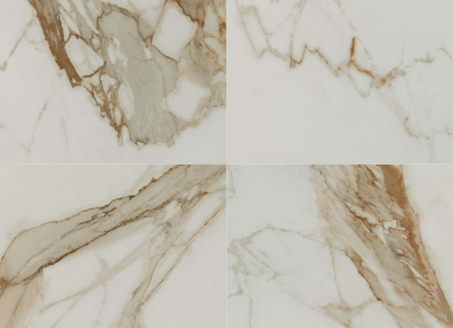 Regallo in Calacatta Marbella - 24x24 Polished