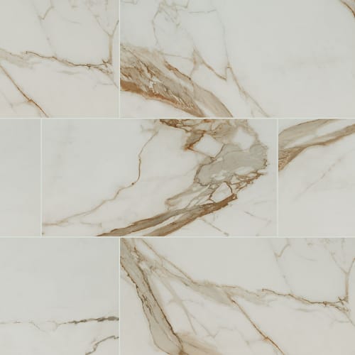 Regallo in Calacatta Marbella - 24x48 Matte