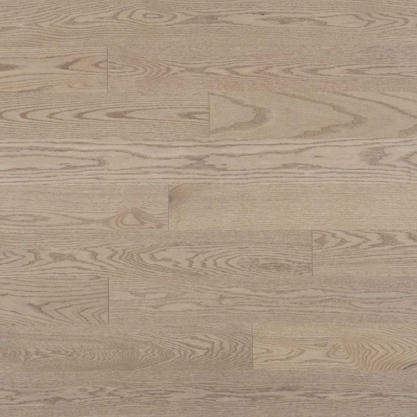 Admiration Engineered - Red Oak in Rio - 4 1/4" Smooth Hardwood