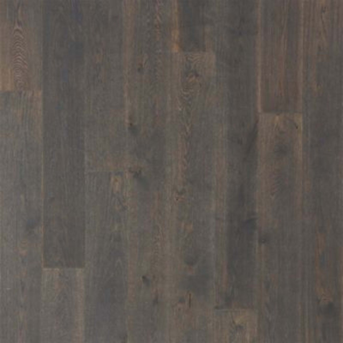 Soho Modesto in Roadside Oak Hardwood