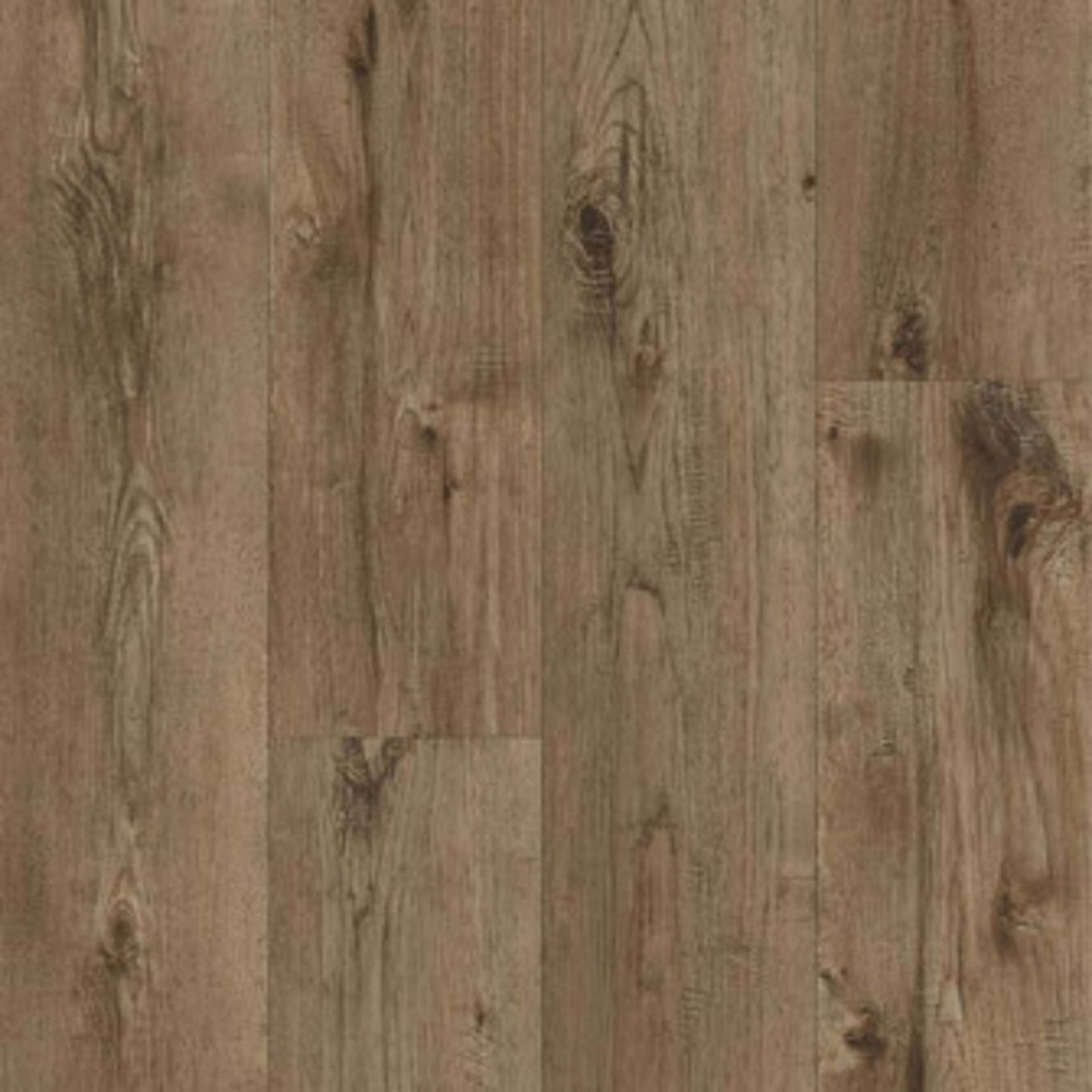Signature in Graciano Luxury Vinyl