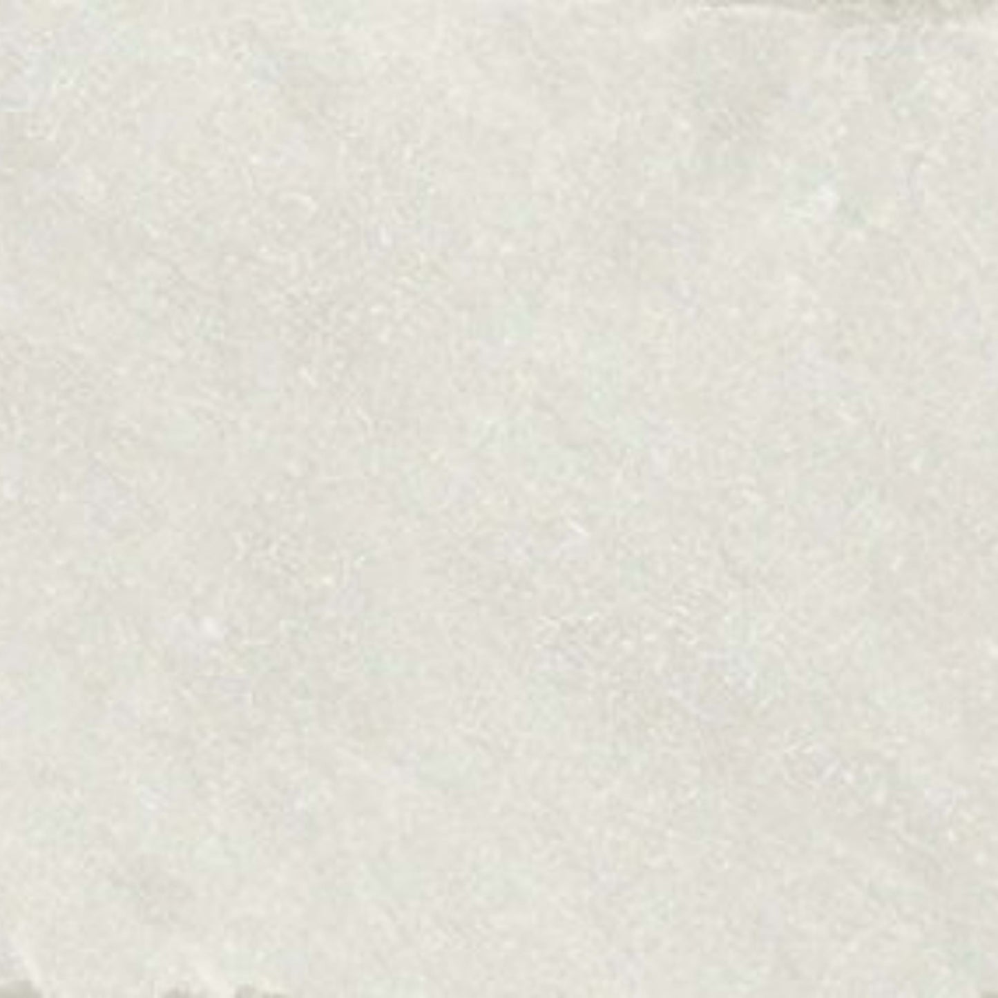 Solstice in Winter White-4x8 Tile