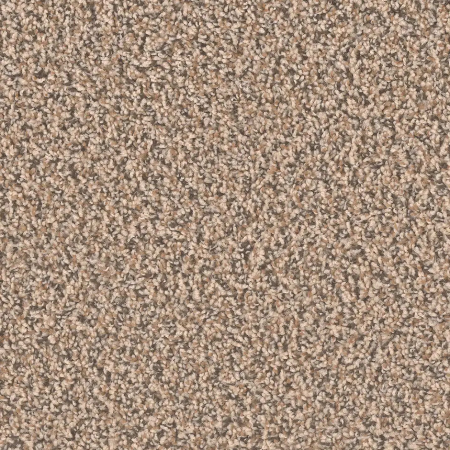 SP250