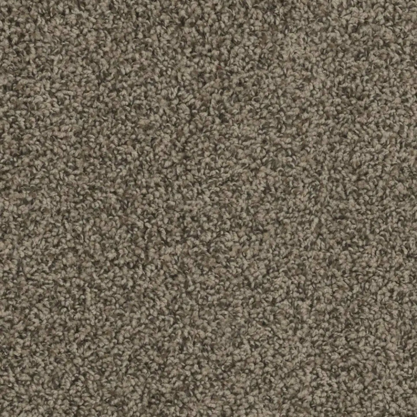 SP250 in Agate Carpet