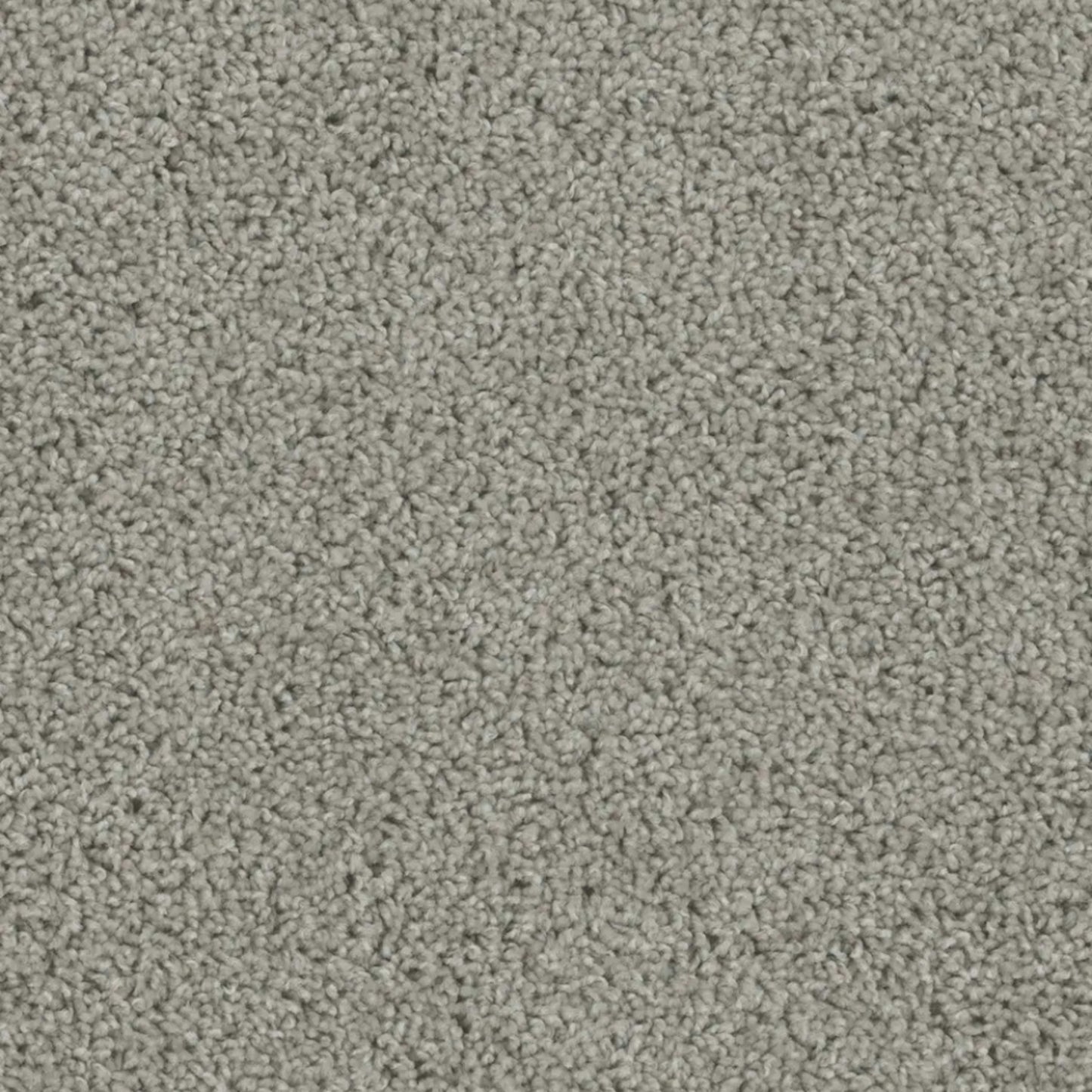 SP250