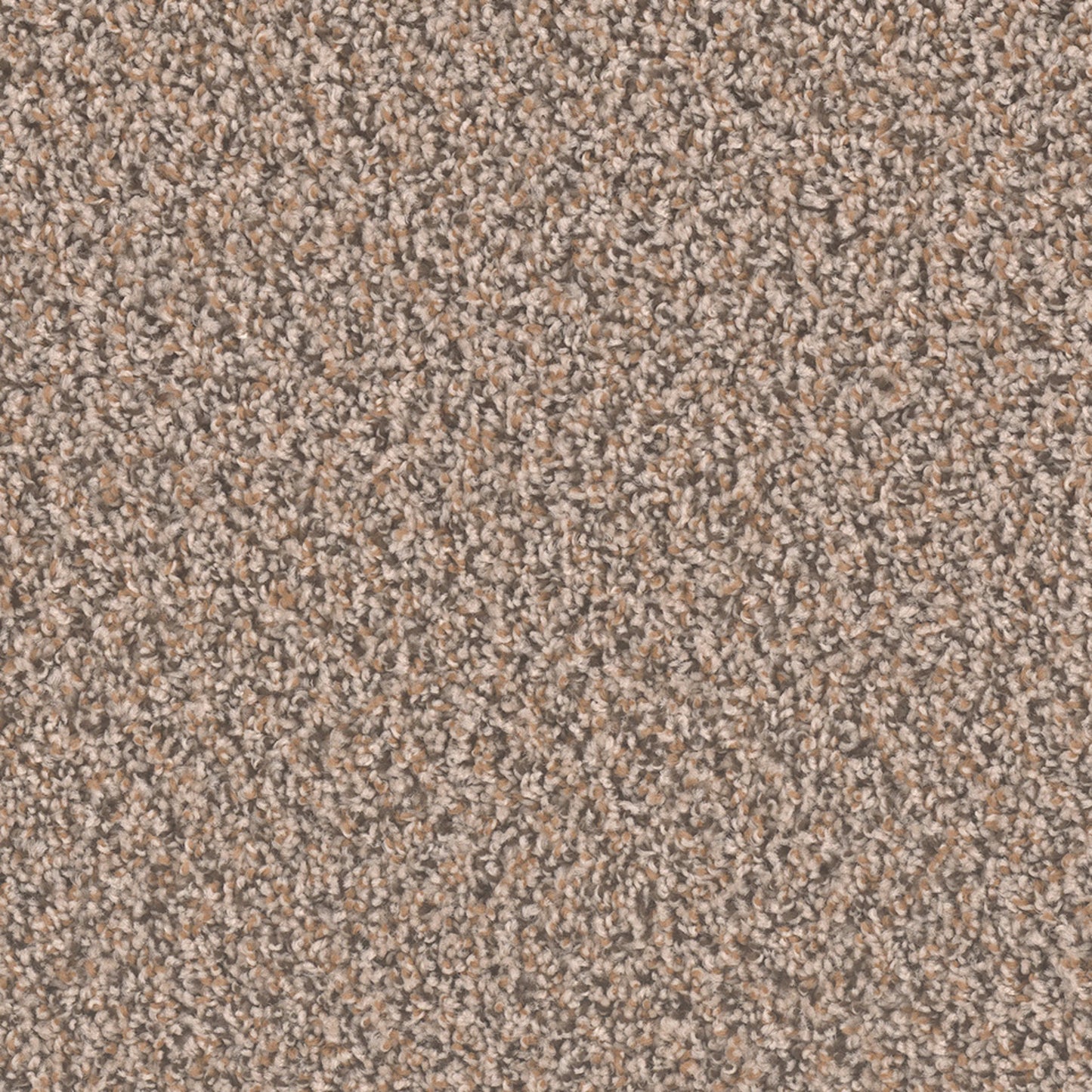 SP250