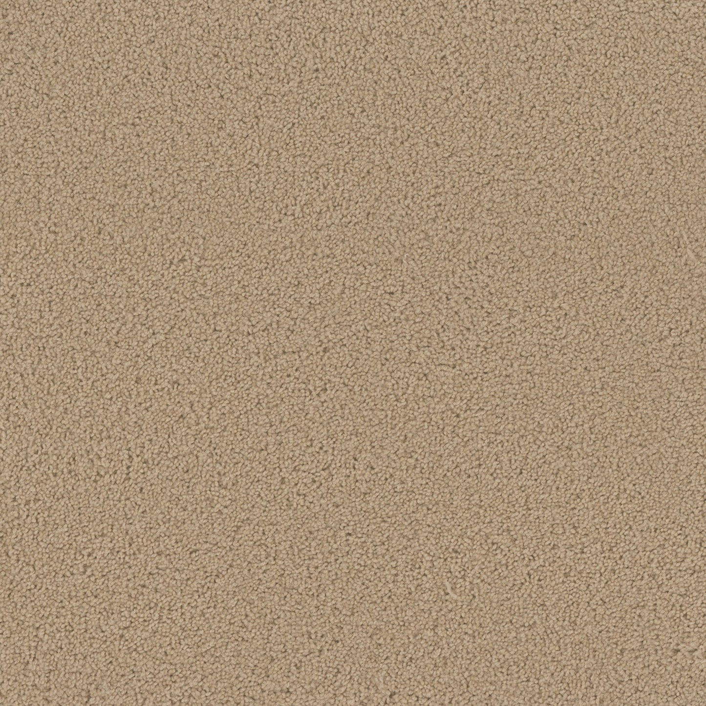 SP250