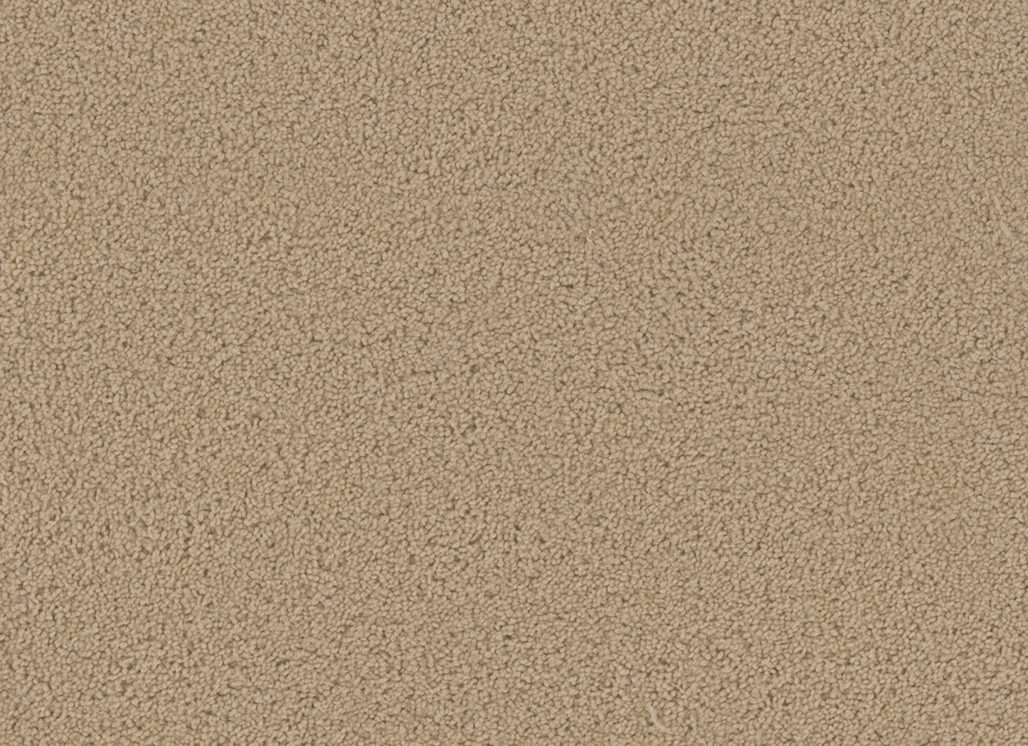 SP250